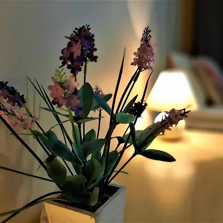 Hotel Svalvik Hotel 3*