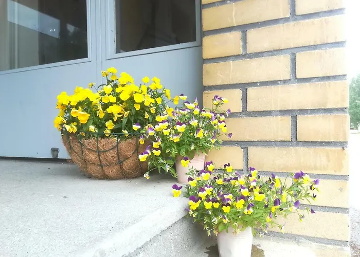 Kaatrahovi 3* Lieksa